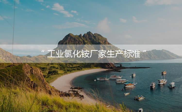 工業(yè)氯化銨廠家生產(chǎn)標(biāo)準(zhǔn)，生產(chǎn)過(guò)程進(jìn)行嚴(yán)密的監(jiān)控！